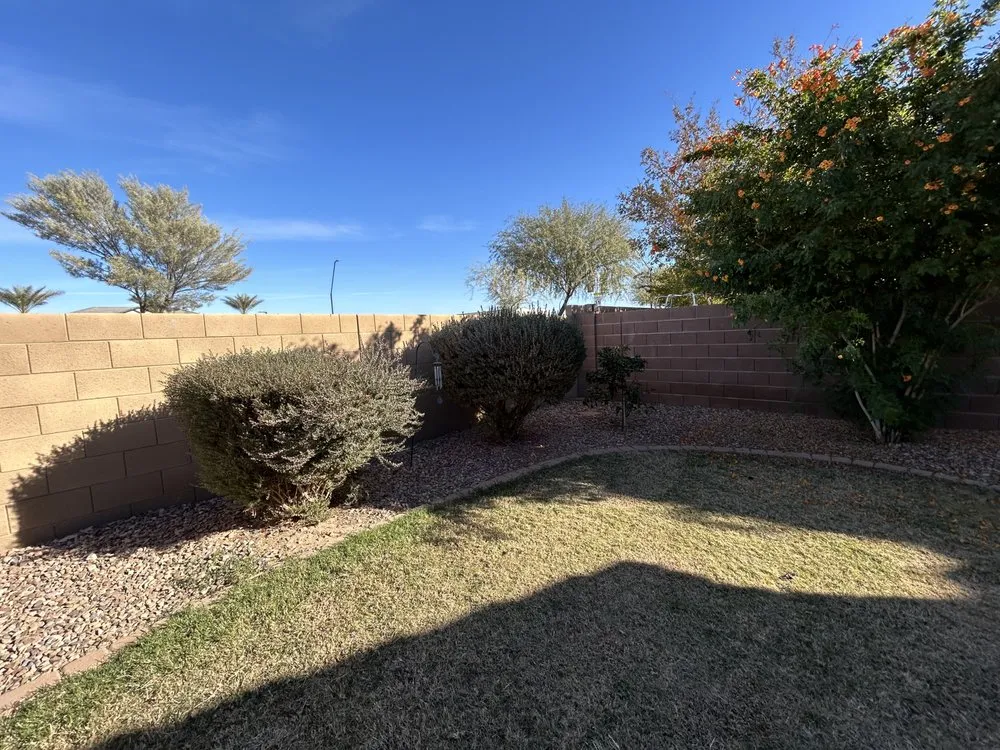 Expert lawn care service for homes in San Tan Valley, AZ by Elevate Landscape