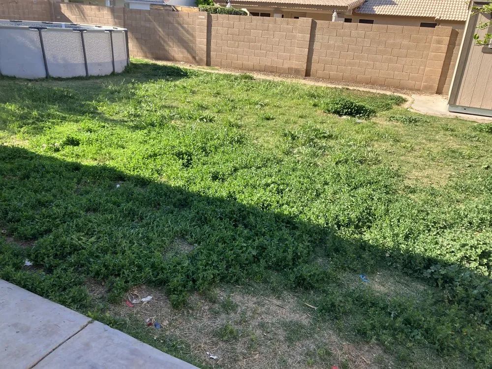 Trusted garden landscaping in San Tan Valley, AZ - Elevate Landscape