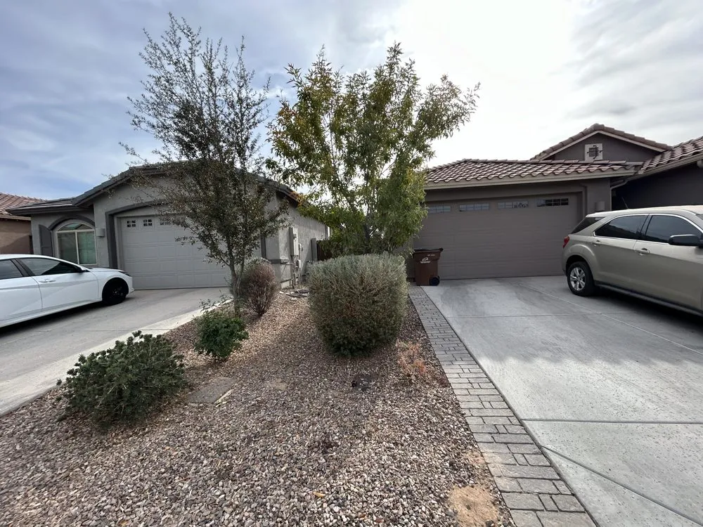 Local lawn care service experts serving San Tan Valley, AZ - Elevate Landscape