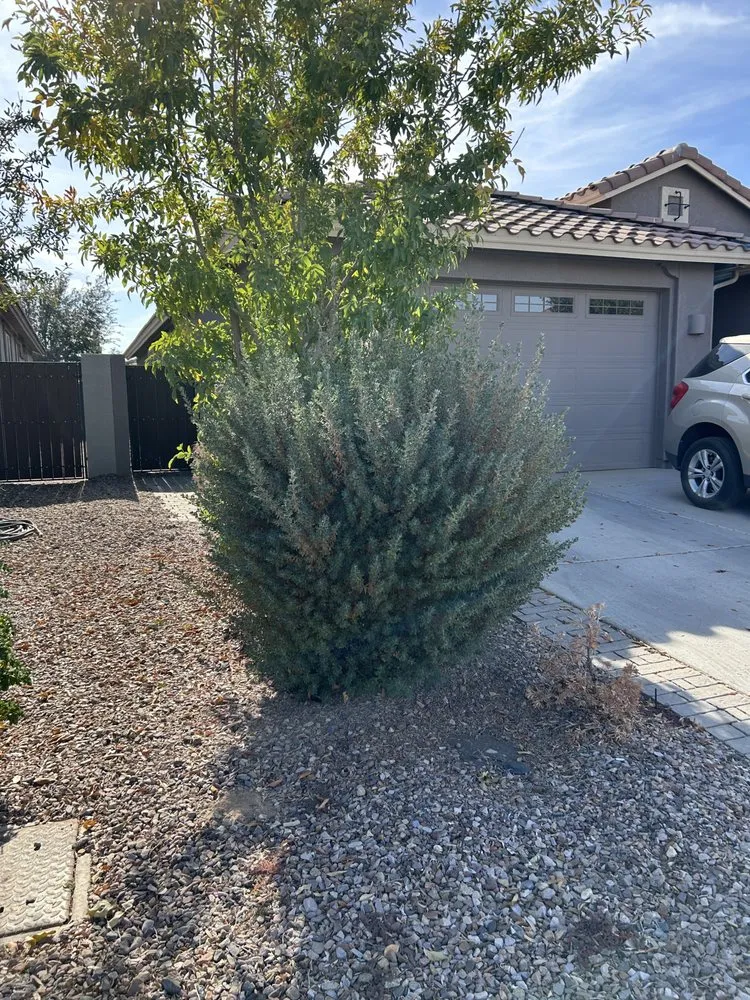 Local lawn care service for outdoor upgrades in San Tan Valley, AZ by Elevate Landscape