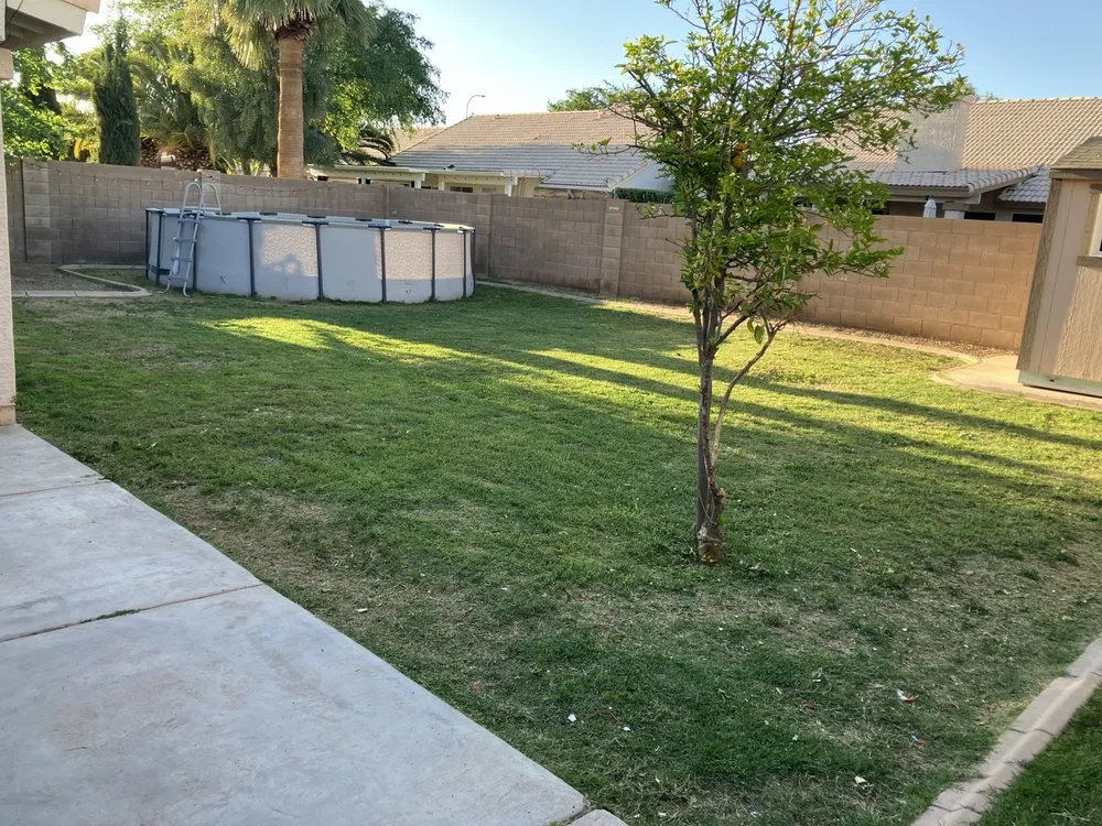Top-rated landscaping services with custom design in San Tan Valley, AZ by Elevate Landscape