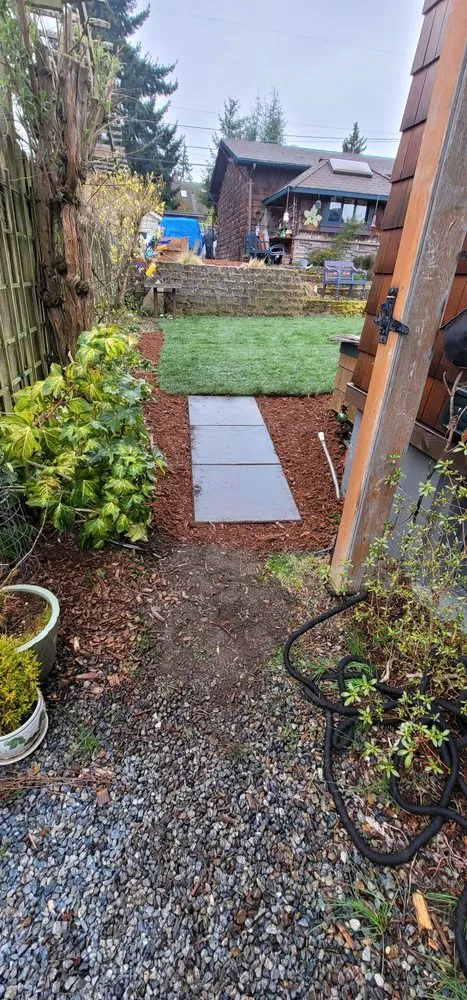 Top-rated yard maintenance near you in Seattle, WA by Elevate Landscape