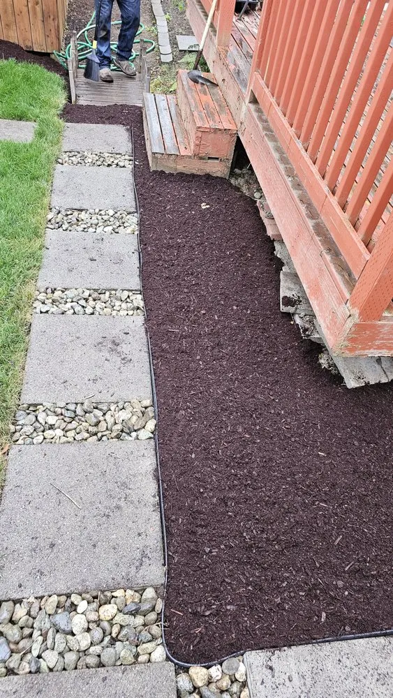 Expert yard maintenance experts serving Seattle, WA - Elevate Landscape