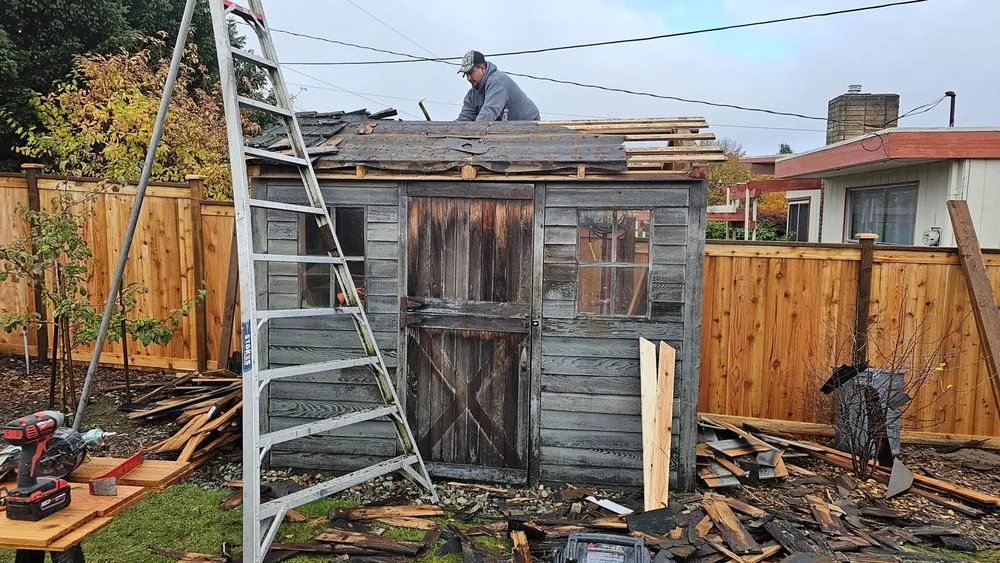 Trusted lawn care service in Seattle, WA - Elevate Landscape