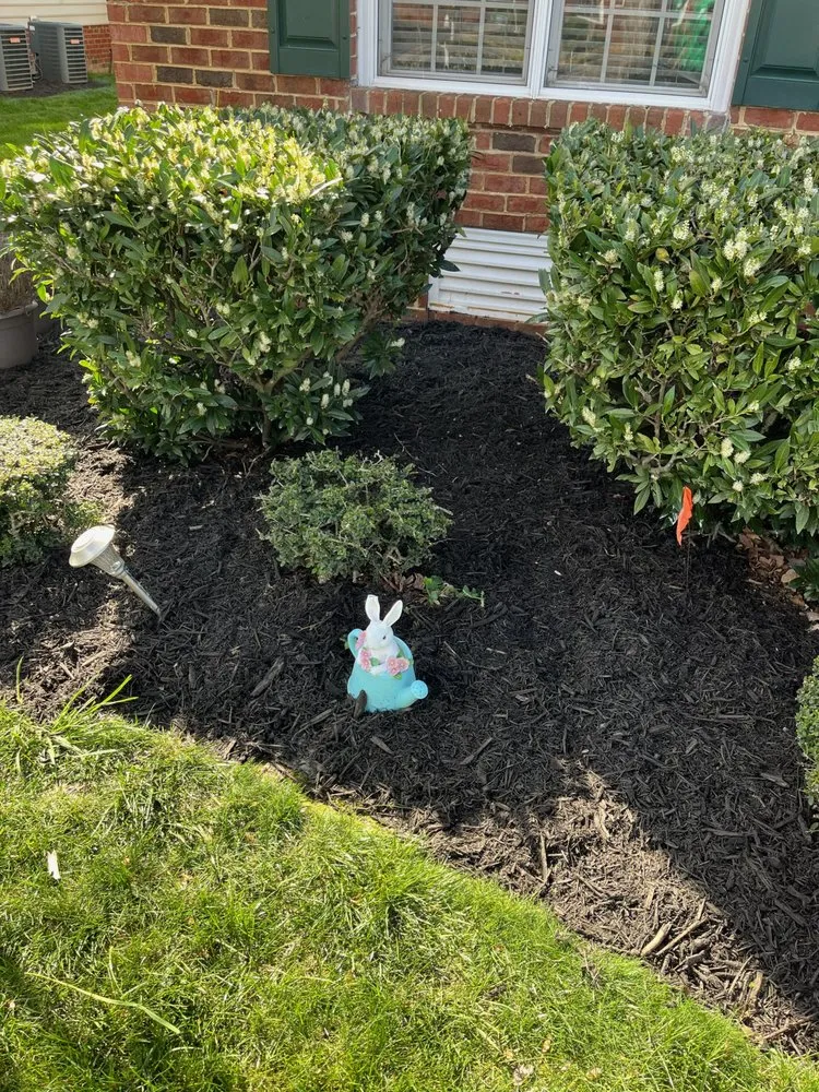 Custom lawn care service with custom design across Glen Allen, VA - Elevate Landscaping