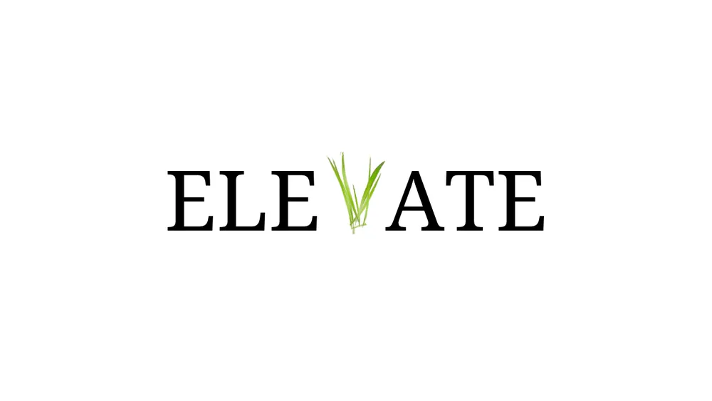 Top-rated outdoor landscaping in Glen Allen, VA - Elevate Landscaping
