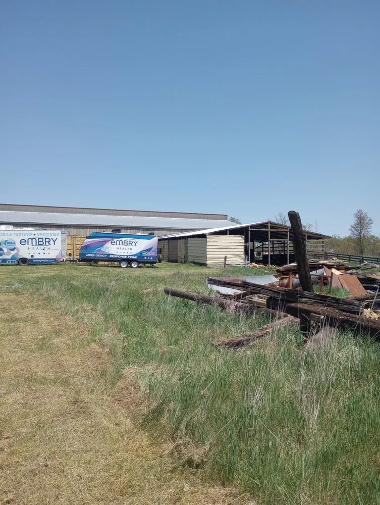 Expert yard cleanup service experts serving Lansing, MI - Elevate Landscaping