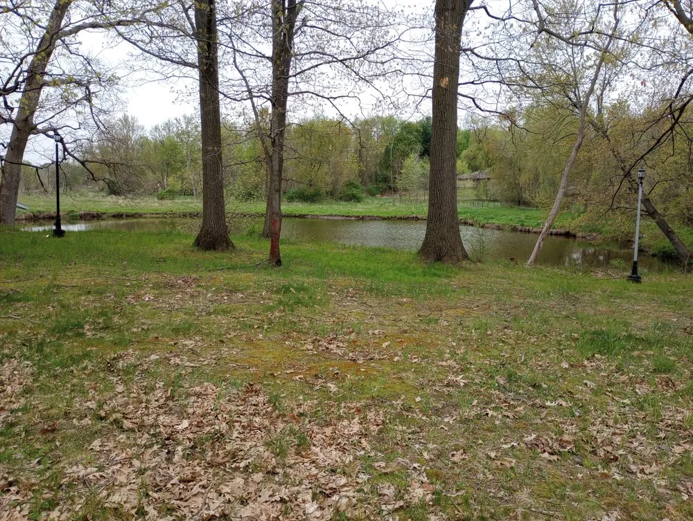 Affordable lawn care service experts serving Lansing, MI - Elevate Landscaping