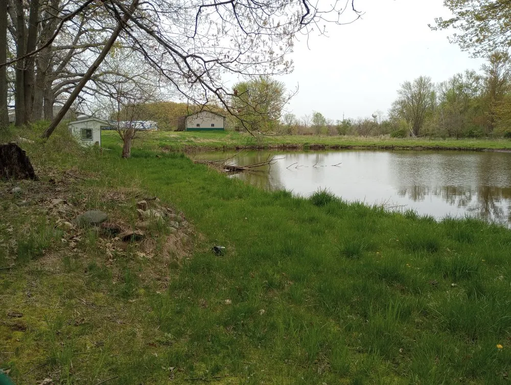 Professional garden landscaping in Lansing, MI by Elevate Landscaping