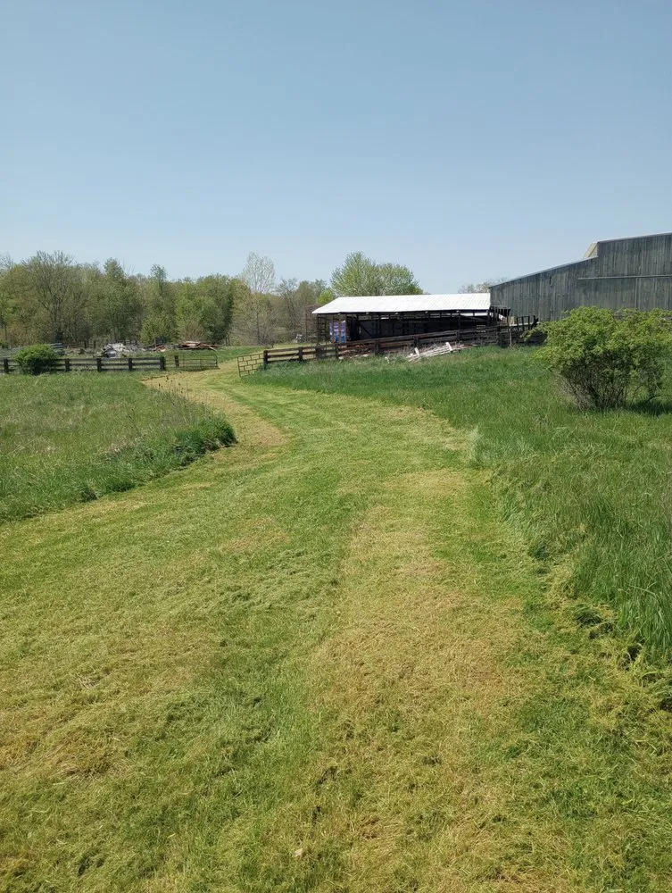 Local garden landscaping in Lansing, MI by Elevate Landscaping