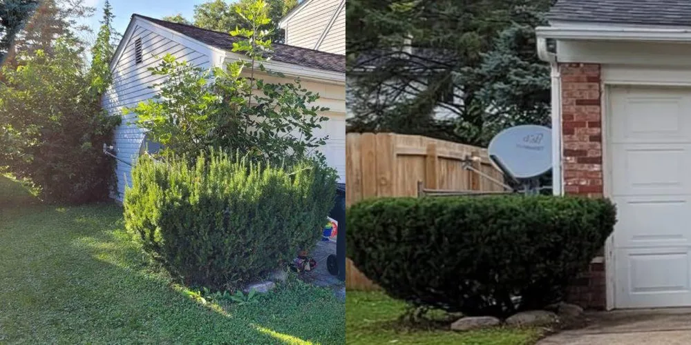 Custom residential landscaping for outdoor upgrades in Lansing, MI by Elevate Landscaping