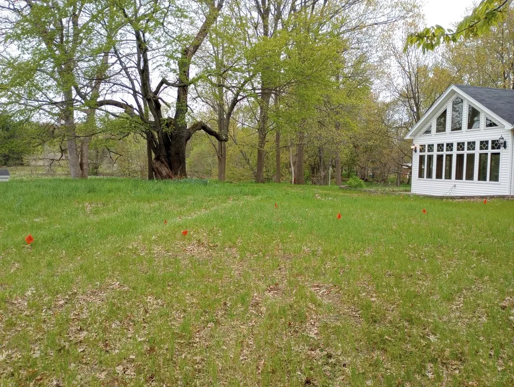 Top-rated yard cleanup service in Lansing, MI by Elevate Landscaping