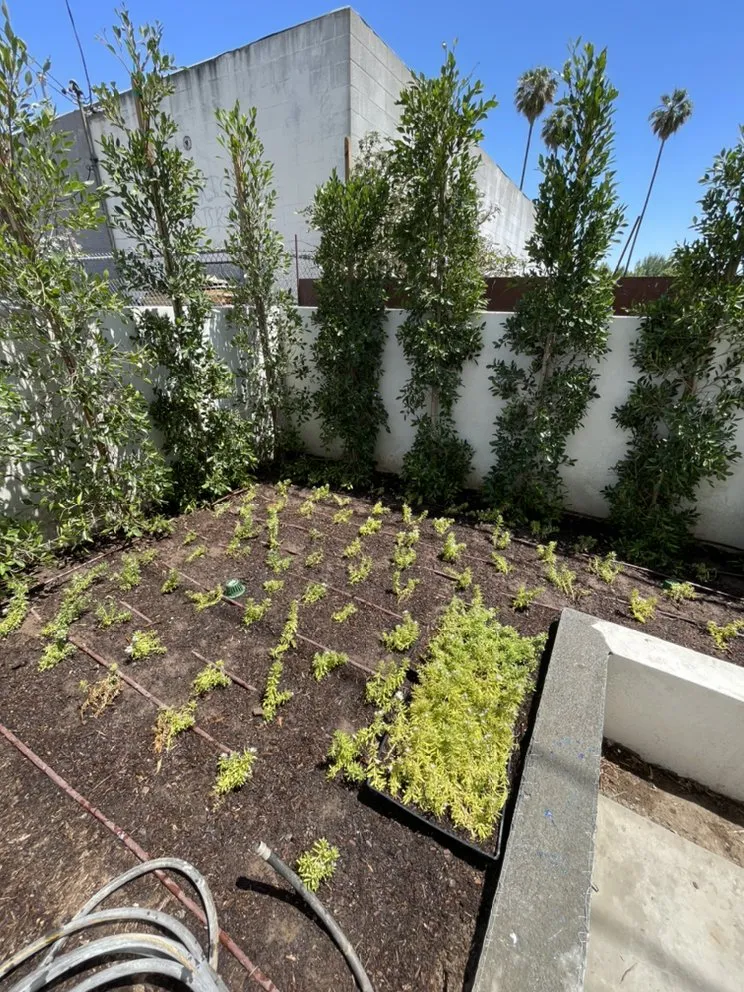 Top-rated landscaping services with custom design across Moreno Valley, CA - Elevate Landscaping