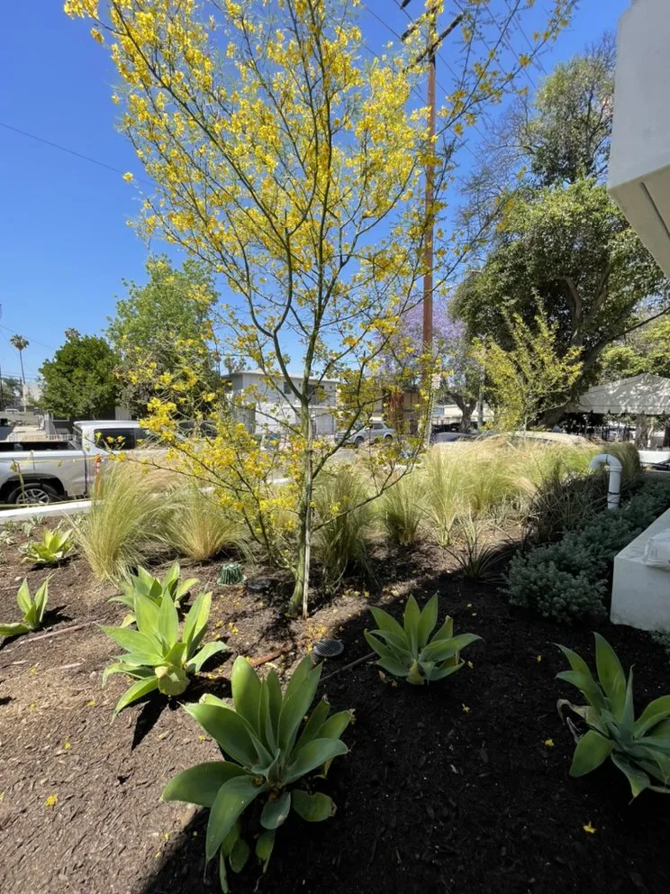 Top-rated lawn mowing service experts serving Moreno Valley, CA - Elevate Landscaping