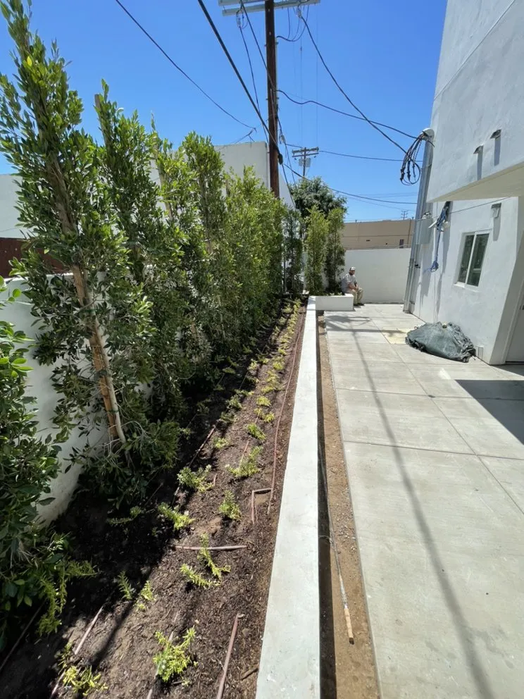 Trusted yard maintenance in Moreno Valley, CA by Elevate Landscaping