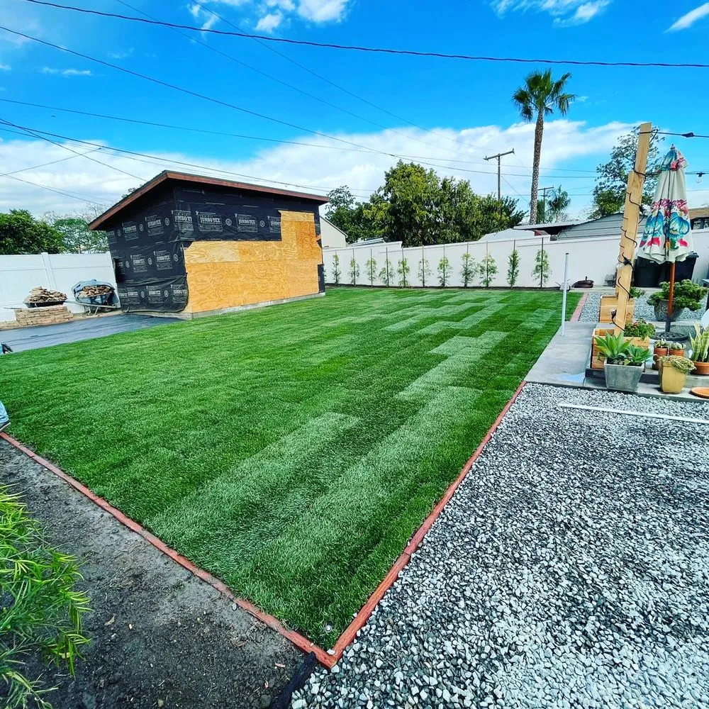 Local yard cleanup service experts serving Moreno Valley, CA - Elevate Landscaping