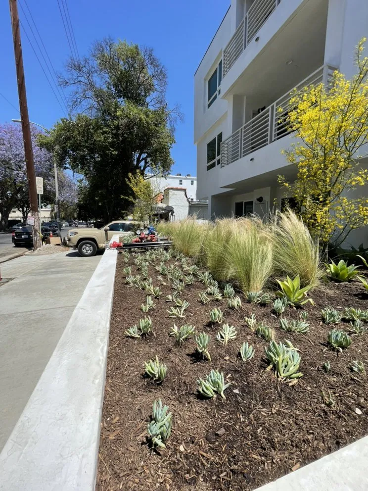 Custom landscape design for year-round maintenance in Moreno Valley, CA by Elevate Landscaping