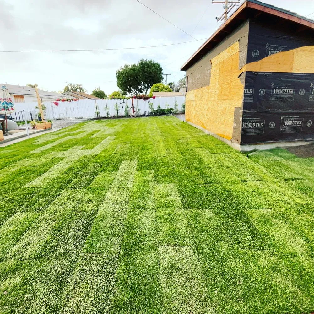 Affordable landscape installation for residential properties in Moreno Valley, CA by Elevate Landscaping