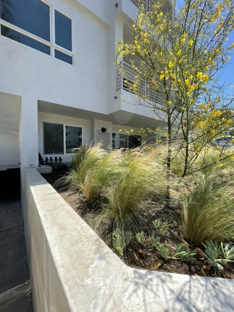 Professional outdoor landscaping in Moreno Valley, CA - Elevate Landscaping