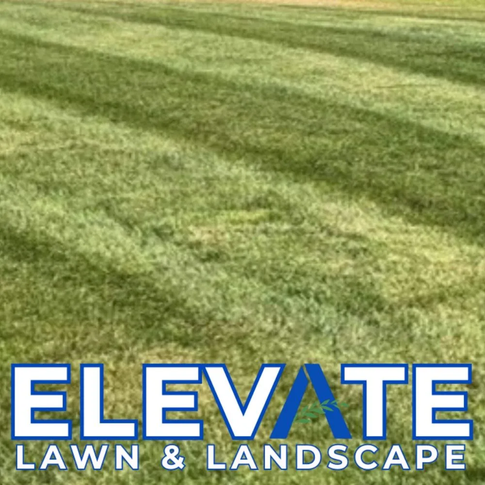 Reliable yard cleanup service for homes across Dickson, TN - Elevate Lawn & Landscape