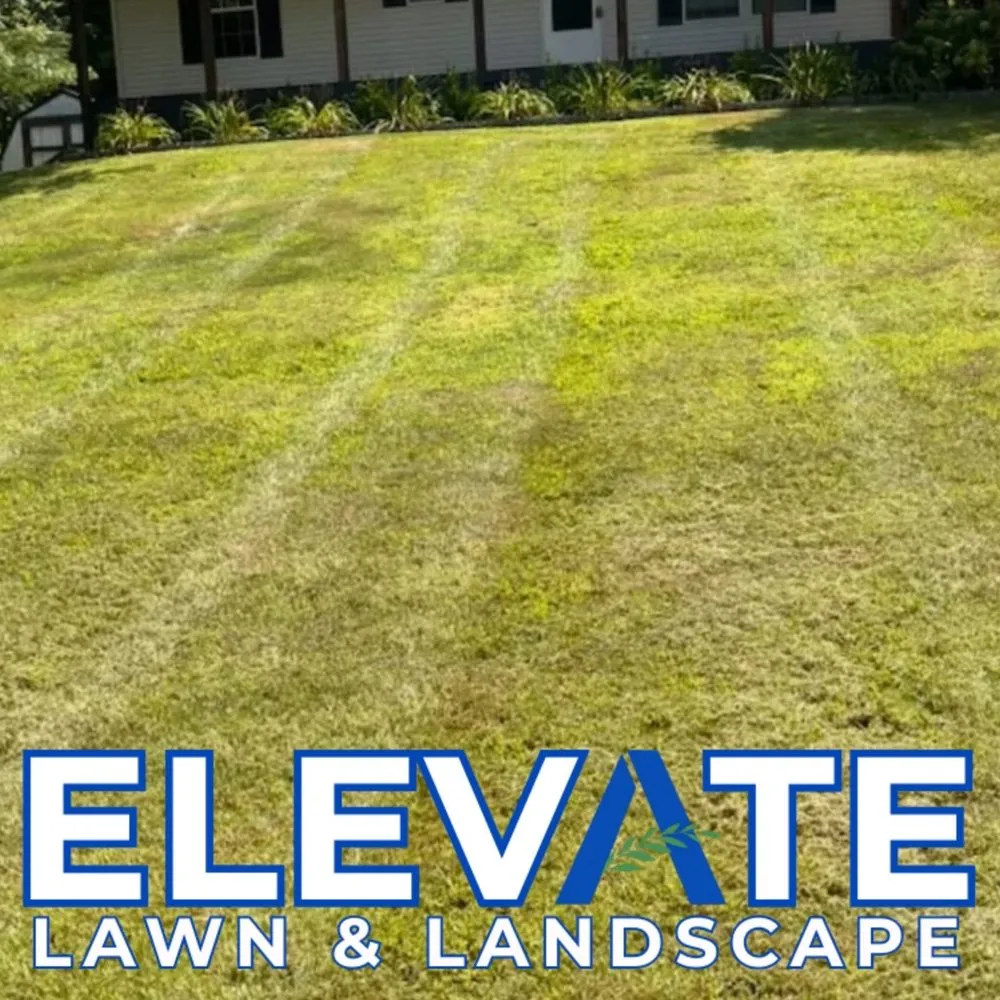 Reliable landscaping services experts serving Dickson, TN - Elevate Lawn & Landscape
