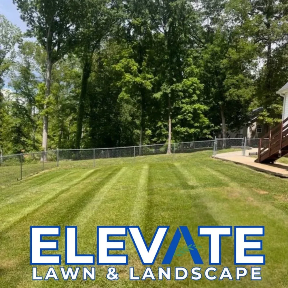 Top-rated yard cleanup service for year-round maintenance in Dickson, TN by Elevate Lawn & Landscape