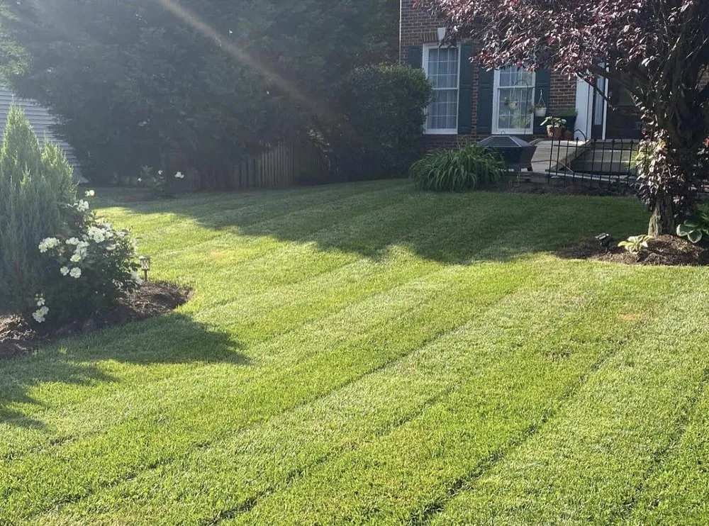 Custom landscaping services for outdoor upgrades in Clifton, VA by Elevate Lawn and Landscape