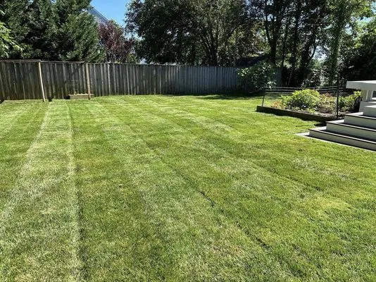 Elevate Lawn and Landscape Logo