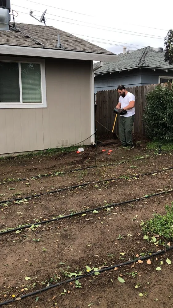 Local yard cleanup service for homes in Rancho Cordova, CA by Elevate Lawn Care