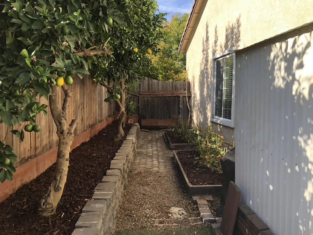 Top-rated yard cleanup service near you across Rancho Cordova, CA - Elevate Lawn Care