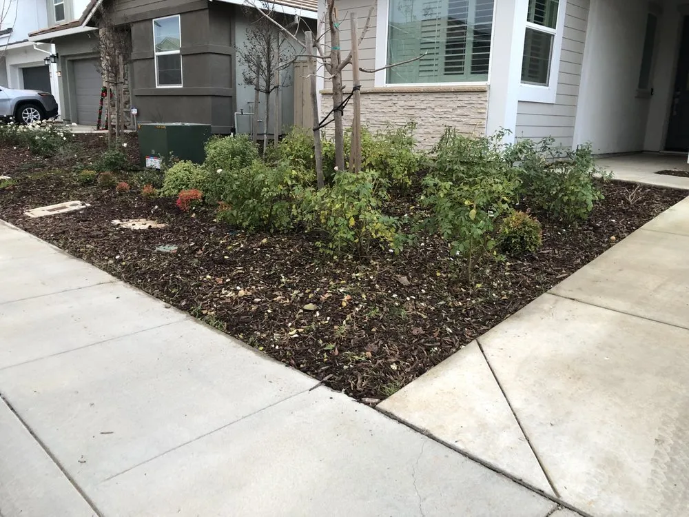 Top-rated yard cleanup service in Rancho Cordova, CA - Elevate Lawn Care