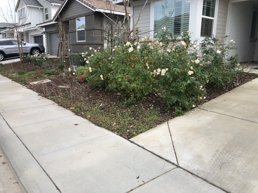 Reliable residential landscaping with custom design in Rancho Cordova, CA by Elevate Lawn Care