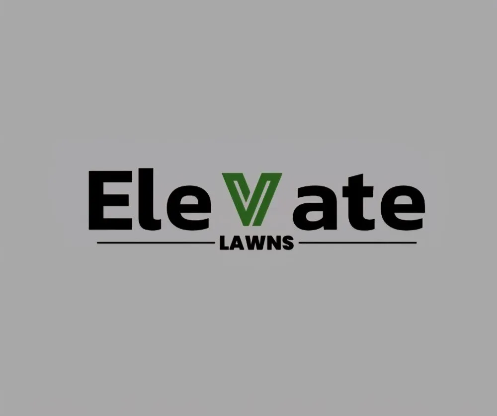 Professional lawn mowing service experts serving Dallas, TX - Elevate Lawn