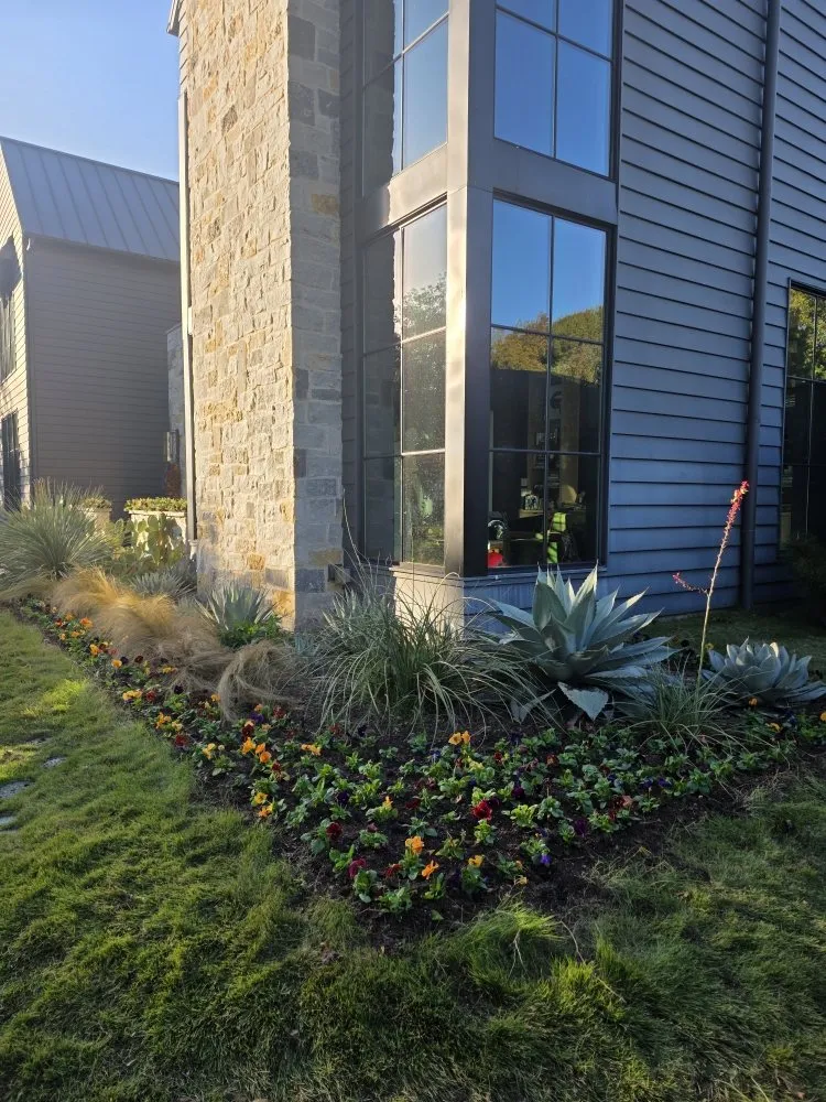 Custom landscape installation in Dallas, TX by Elevate Lawn