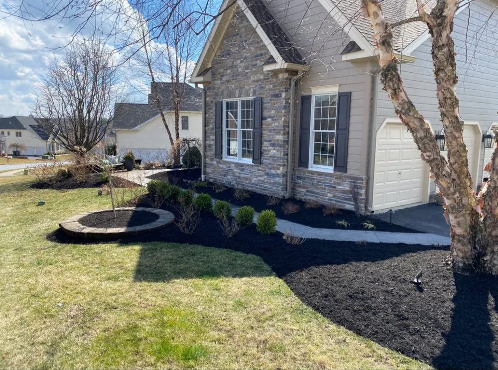 Top-rated yard maintenance with custom design across Minneapolis, MN - Elevate lawns