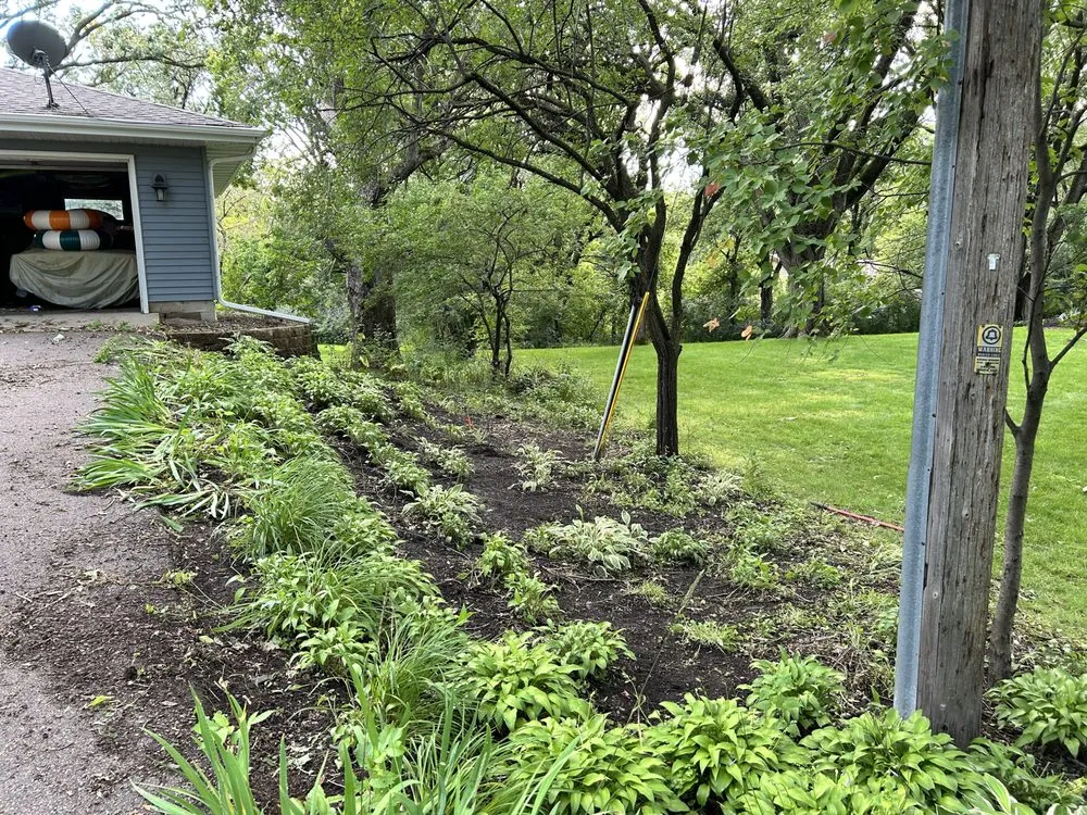 Local yard cleanup service experts serving Saint Paul, MN - Elevate Lawns