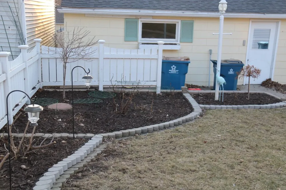 Top-rated yard cleanup service for year-round maintenance across Saint Paul, MN - Elevate Lawns