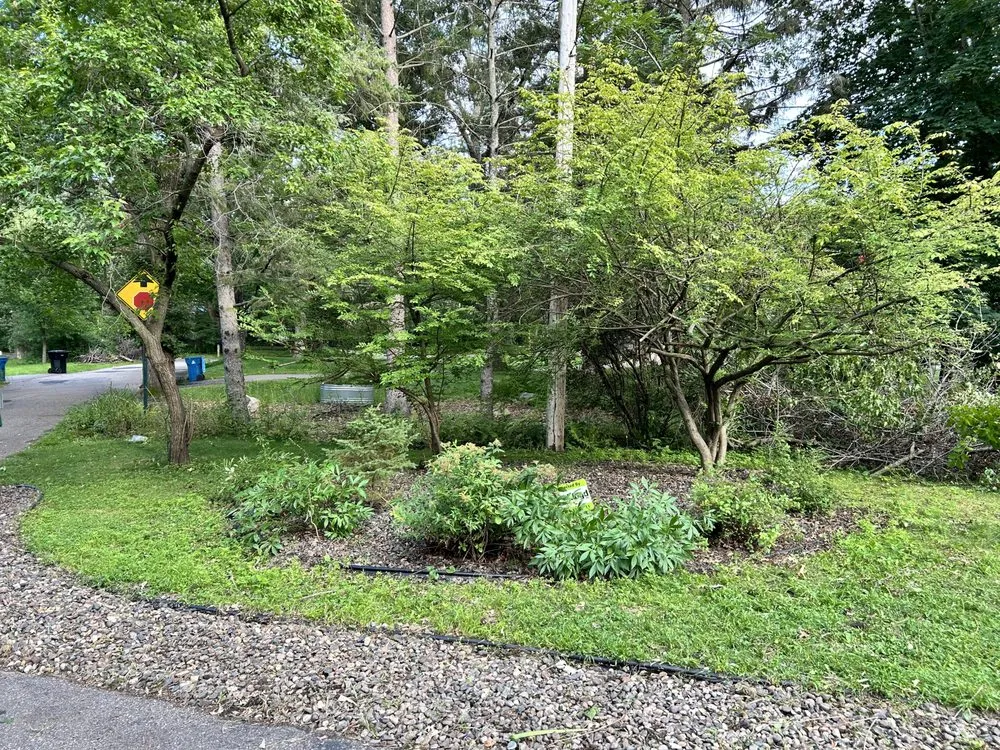 Trusted yard cleanup service experts serving Saint Paul, MN - Elevate Lawns