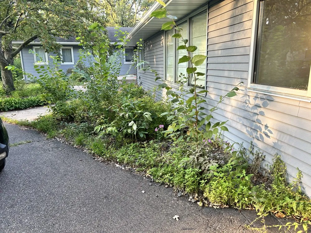 Affordable outdoor landscaping in Saint Paul, MN - Elevate Lawns