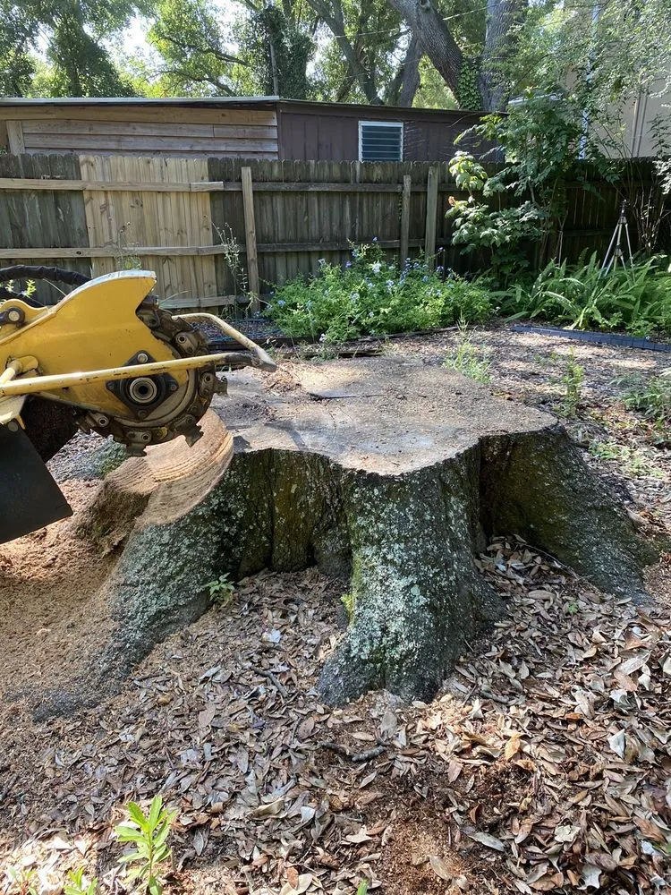 Reliable residential landscaping experts serving Tampa, FL - Elevate Outdoor Services