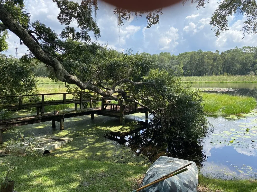 Professional residential landscaping in Tampa, FL by Elevate Outdoor Services