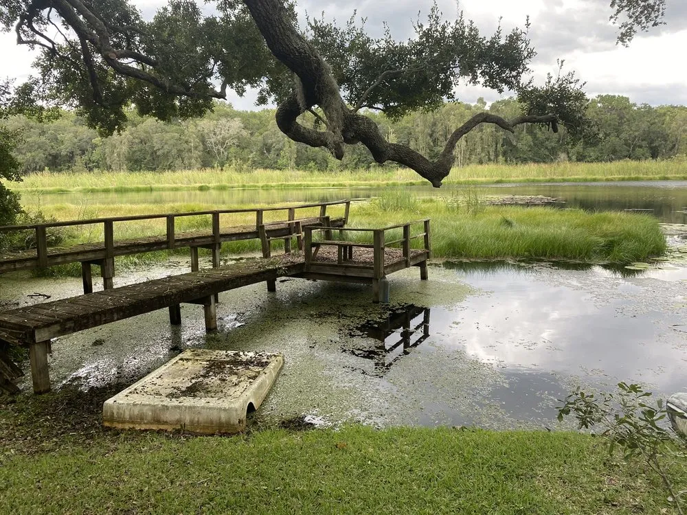 Affordable landscape installation in Tampa, FL by Elevate Outdoor Services