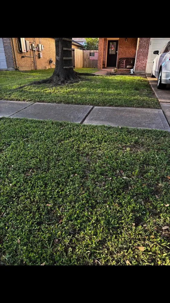 Affordable lawn mowing service in Houston, TX - Elevate Outdoors