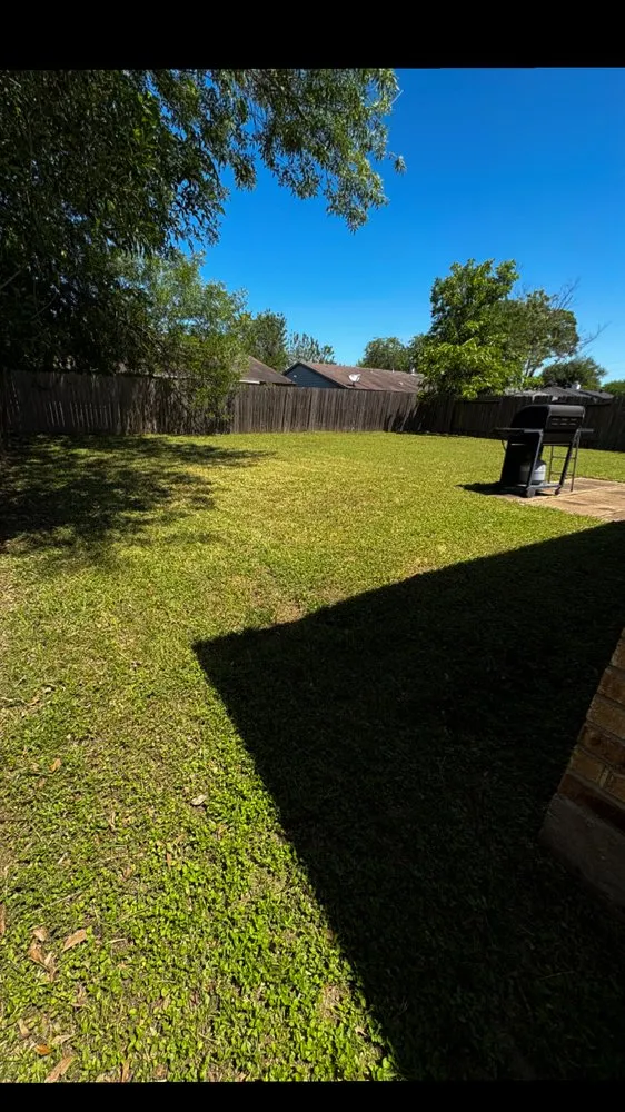 Affordable outdoor landscaping in Houston, TX by Elevate Outdoors