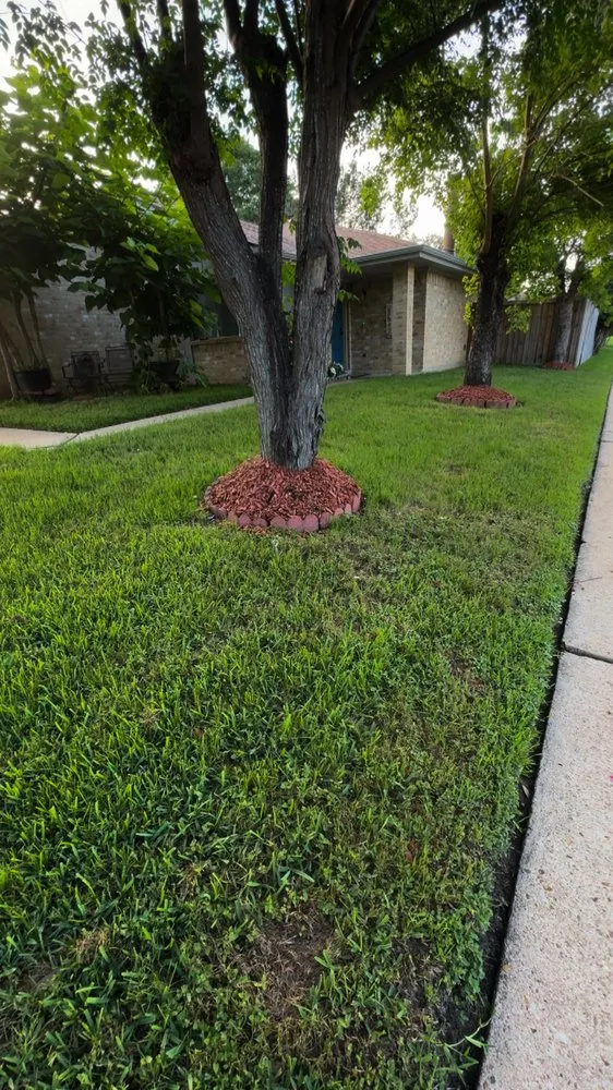 Local outdoor landscaping for residential properties across Houston, TX - Elevate Outdoors