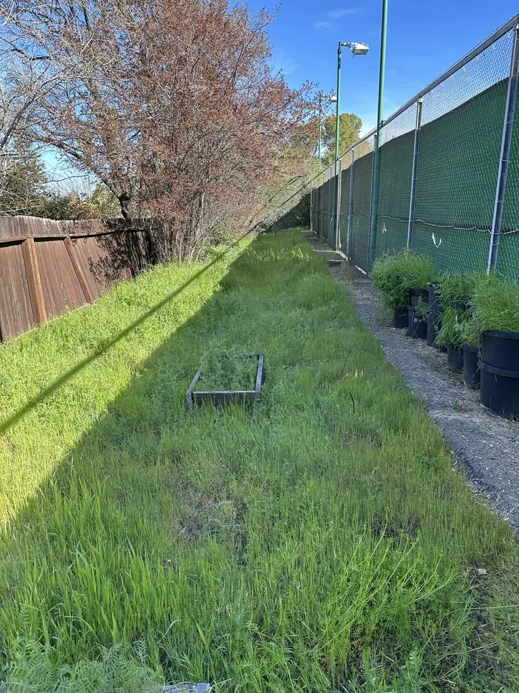 Local lawn care service in Meadow Vista, CA by Elevate Outdoors