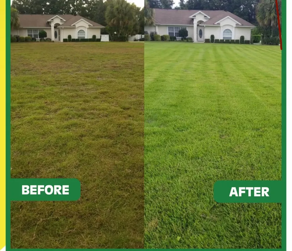 Trusted outdoor landscaping in Meadow Vista, CA by Elevate Outdoors