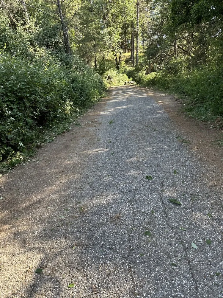 Local yard maintenance in Meadow Vista, CA - Elevate Outdoors