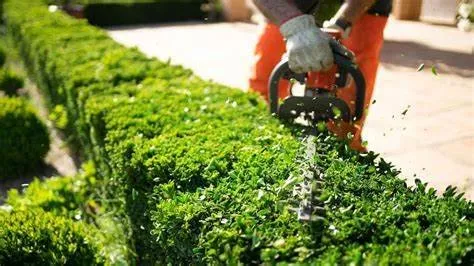 Custom garden landscaping for residential properties across Meadow Vista, CA - Elevate Outdoors