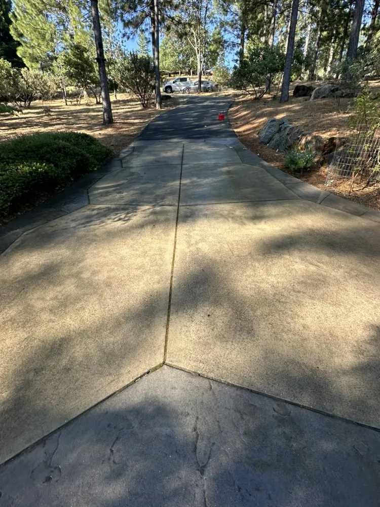 Trusted outdoor landscaping experts serving Meadow Vista, CA - Elevate Outdoors